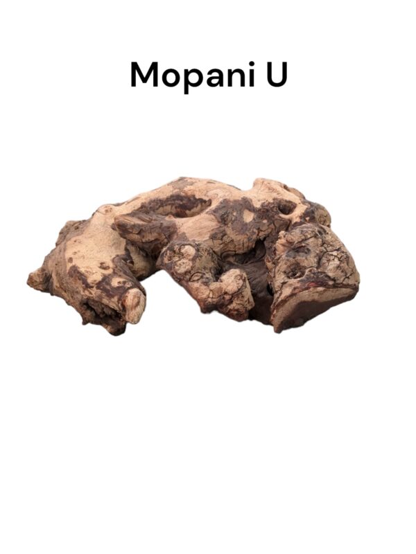 mopani u3.jpg