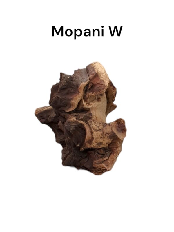 mopani w2.jpg