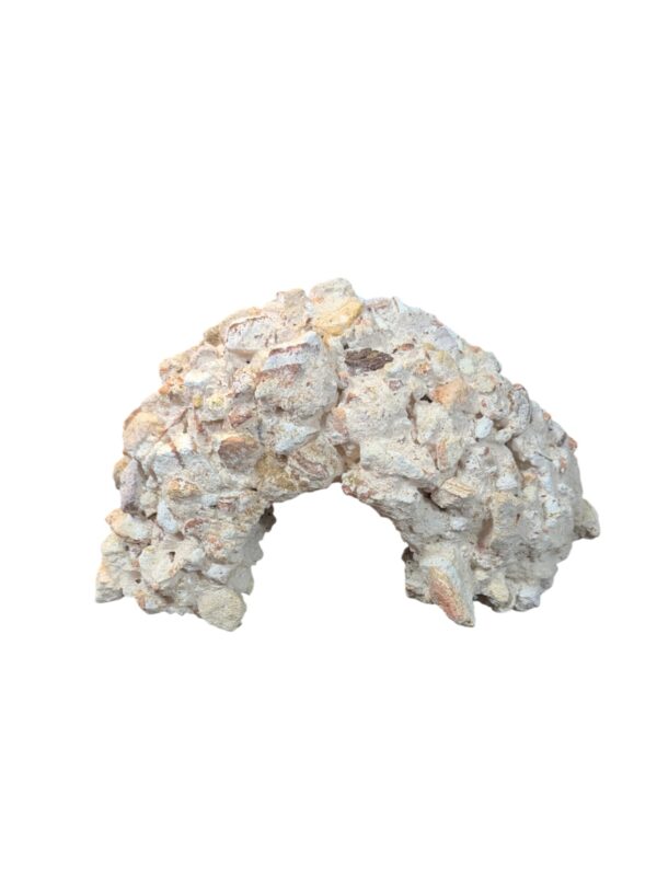 WhatsApp Image 2025-01-24 at 11.53.48.jpeg