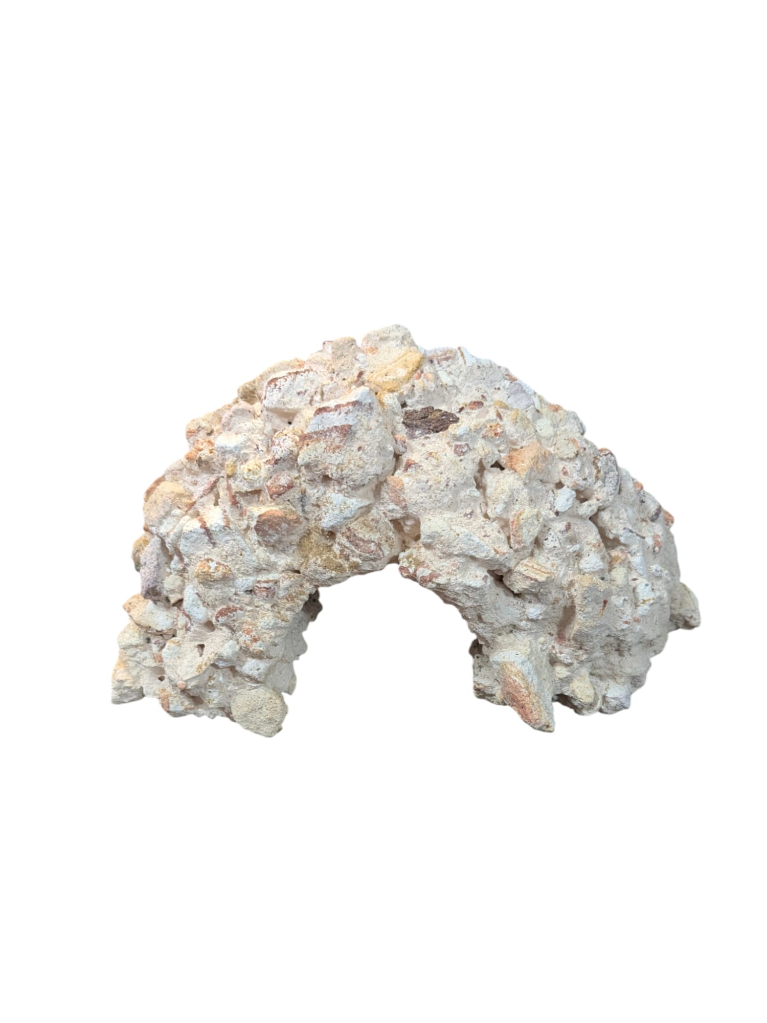 WhatsApp Image 2025-01-24 at 11.53.48.jpeg