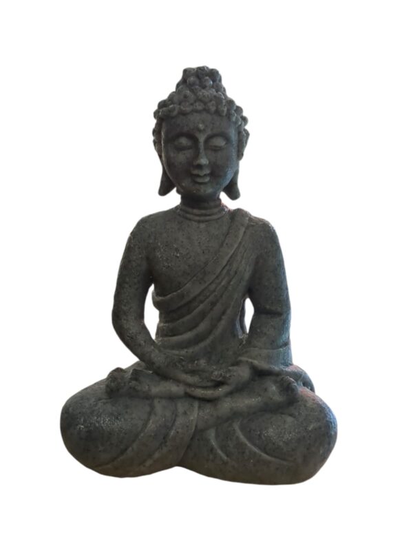 WhatsApp Image 2024-09-18 at 15.25.06.jpeg