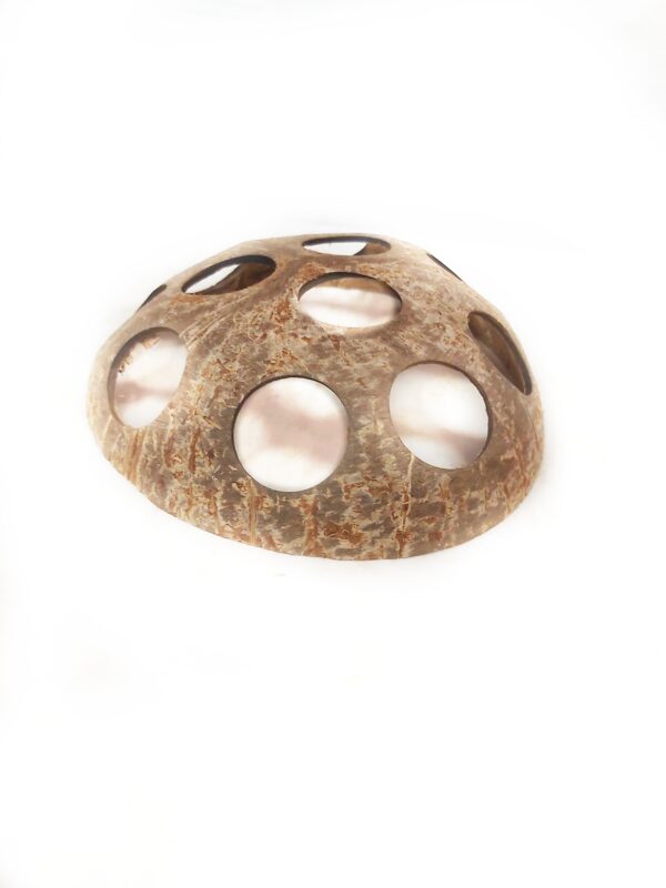 kokosnuss mit löchern.jpg