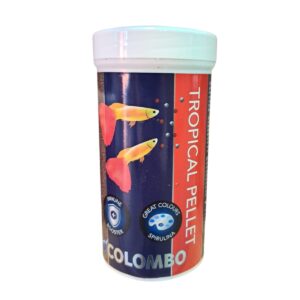 WhatsApp Image 2025-11-03 at 12.31.18.jpeg