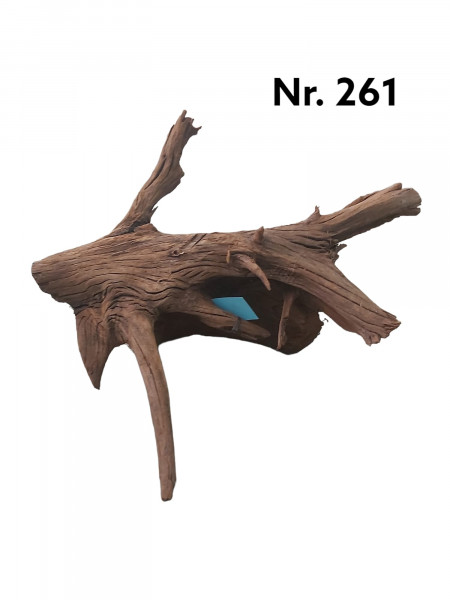 Mangrovenwurzel Nr. 261 die verzweigte und einzigartige Wurzel für Dein Aquarium, als natürliches Versteck und Dekoration online bestellbar bei Aquaristikwelt dresden