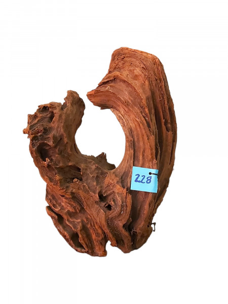 Aqariumwurzel Mangrovenwurzel nr.228 mit offenem Höhlenbereich für Welse, die natürliche Welshöhle in der perfekten Wurzel online shoppen