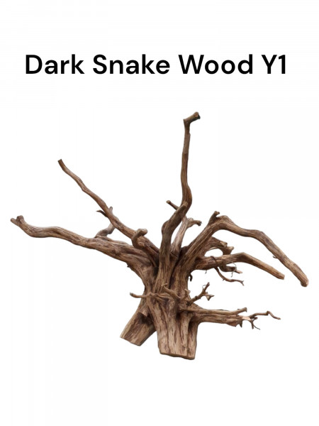 Snake Wood die wunderbar verzweigte Aquariumwurzel für Dein Aquascape 