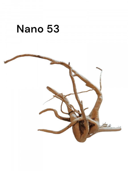 Nano Fingerwurzel Nr. 53 filligrane Wurzel, Wurzel für das Aquarium, online bestellen, online günstig kaufen, Aquariumwurzel