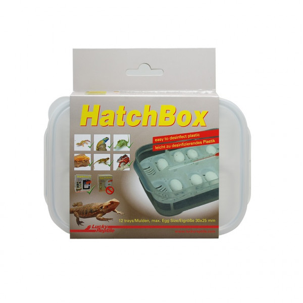 Lucky Reptile Hatch Box die Box für Gecko Eier zum richtigen ausbrüten