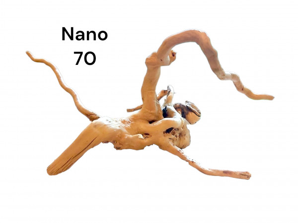 Nano Fingerwurzel Nr. 70