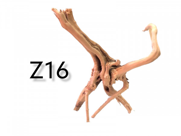 Fingerwurzel Z16 Baumoptik Wurzel, Wurzelholz, Aquariumwurzel, im Onlineshop bestellen, online bestellen