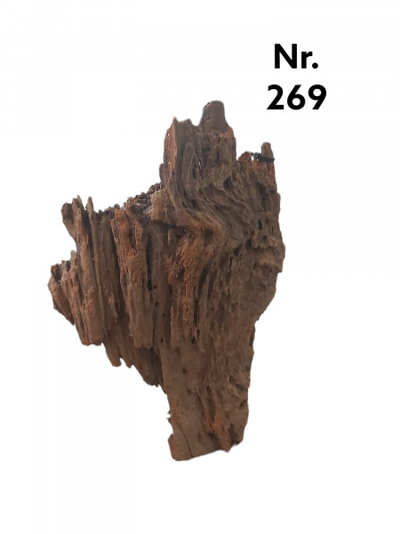 die schöne und gut strukturierte Mangrovenwurzel Nr. 269 als Unikat für Dein Aquarium oder Terrarium jederzeit online shoppen 