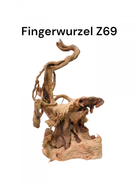 Fingerwurzel Z69 Baumoptik, Wurzel für das Aquarium, Aquariumwurzel, Moorwurzel, jederzeit online bestellbar und liefern lassen,