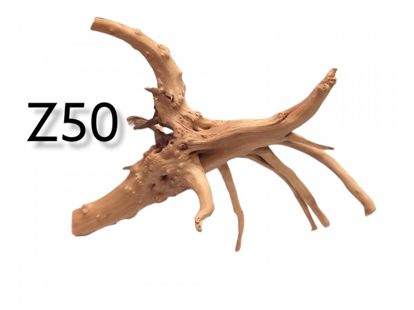 Fingerwurzel Z50 Wurzelholz im Aquarium, Moorwurzel, natürliche Höhle für das Aquarium, Fingerwurzelholz, günstig online bestellen