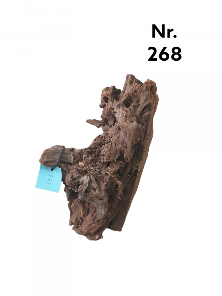 Mangrovenwurzel Nr. 268 mit starker Struktur als natürliche Dekoration im Aquarium