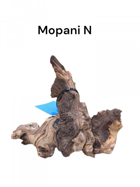 Mopaniewurzel N als perfekter Huminlieferant für dein Biotopaquarium jederzeit online bestellen