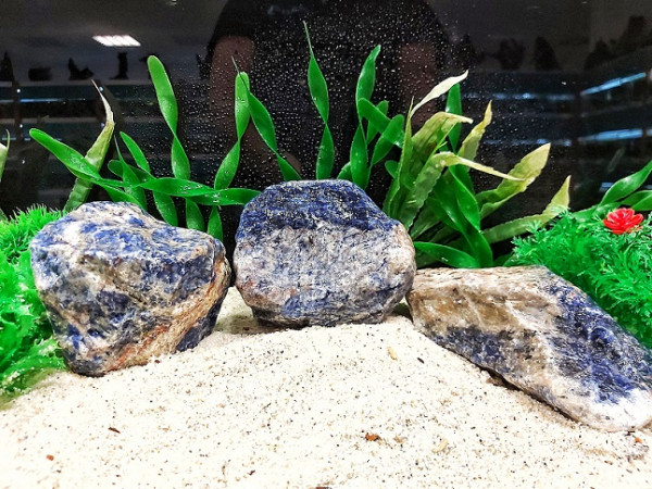 Blauer Sodalith , Drachensteine, green Africa und vielie weitere Steine für ein tolles aquarium bei wiebies Aquawelt