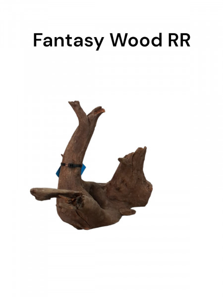 Fantasy Wood RR für dein Aquarium jederzeit online bestellen bei uns im shop