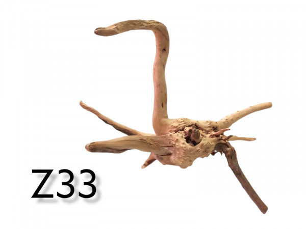Fingerwurzel Z33 Wurzel, natürliches Versteck im Aquarium, Terrariumwurzel, online kaufen, bestellen günstig