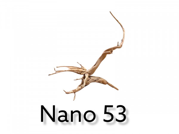 Nano Fingerwurzel Nr. 53 filligrane Wurzel, Wurzel für das Aquarium, online bestellen, online günstig kaufen, Aquariumwurzel