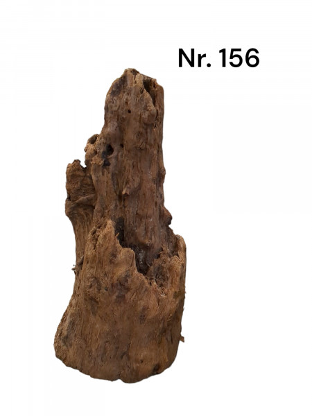 Mangrovenwurzel Nr. 156 Wurzelholz, Moorwurzel, einzigartige Wurzel online kaufen fpr Aquarium und Terrarium