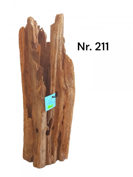 Mangrovenwurzel Dekowurzel Wood fürs Aquarium Mangrovenholz Wurzeln zu günstigen Preisen mit Auswahl
