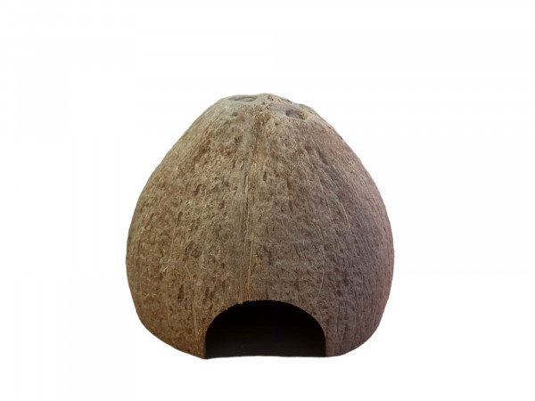 Kokosnuss Höhle - halbrunder Eingang