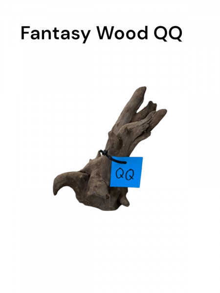 Fantasywood QQ als individuelle Aquariumdekoration jederzeit online bestellen bei aquaristikwelt dresden