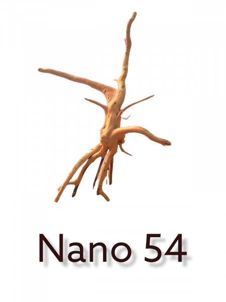 Nano Fingerwurzel Nr. 54 Flusswurzel, Moorwurzel, Wurzel für dein Aquarium, Scaperstank, online bestellen, bestellen online, günstig