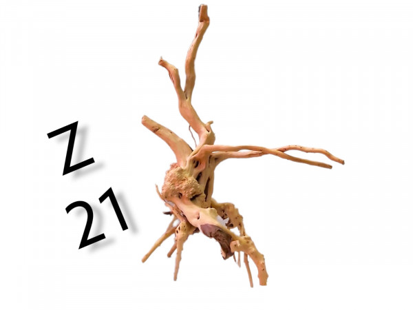 Fingerwurzel Z21 Aquarium Baum, Bonsai Wurzel, Wurzelholz für das Aquarium, bestellen, online bestellen, günstig