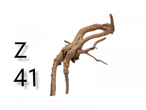 Fingerwurzel Z41 gebogene Aquariumwurzel, Wurzelholz, individuelle Dekoration Aquarium, 