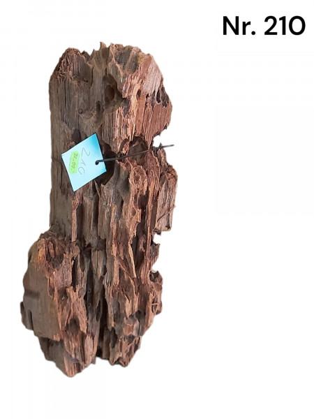 Mangrovenwurzel Dekowurzel Wood fürs Aquarium Mangrovenholz Wurzeln zu günstigen Preisen mit Auswahl