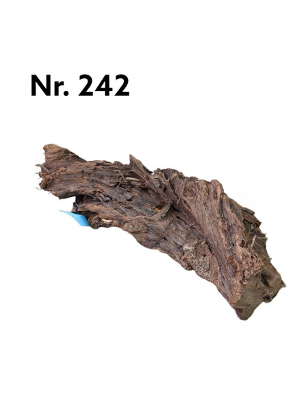 wunderschöne Mangrove Nr 242, Wurzel, Aquariumwurzel online bestellen, ganz individuell