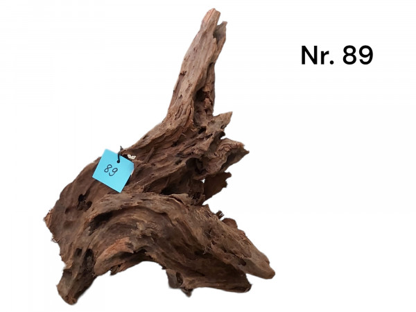 Mangrovenwurzel nr. 89 perfekt für hohe Aquarium und liegend als Dekoration im Becken, Huminlieferant 