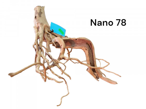 Nano Fingerwurzel Nr. 78