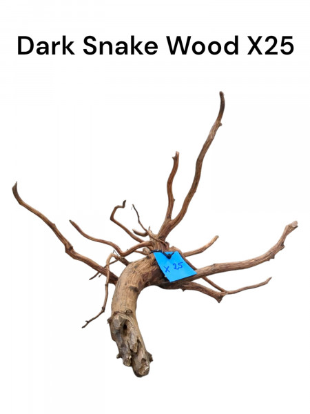 darksnake wood als ersatz für Fingerwurzeln in dunkle, sehr hartes Wurzelholz als Versteck und weideplätze für dein aquarium