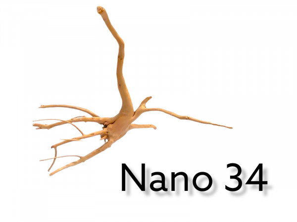 Nano Fingerwurzel Nr. 34 Aquariumwurzel, Dekoration für das Aquarium, günstig online bestelle, bestellen online, Wurzelholz, Moorwurzel