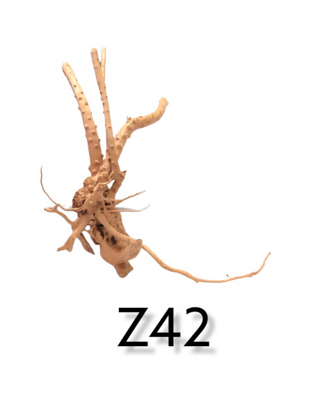 Fingerwurzel Z42 verdrehte knorrige Aquariumwurzel, Dekoration füprs Aquarium, natürliches Wurzelholz, online bestellen, günstig
