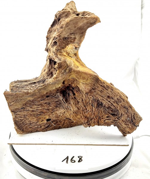 Mangrovenwurzel Dekowurzel Wood fürs Aquarium, Nr.168, Mangrovenholz Wurzeln zu günstigen Preisen mit Auswahl