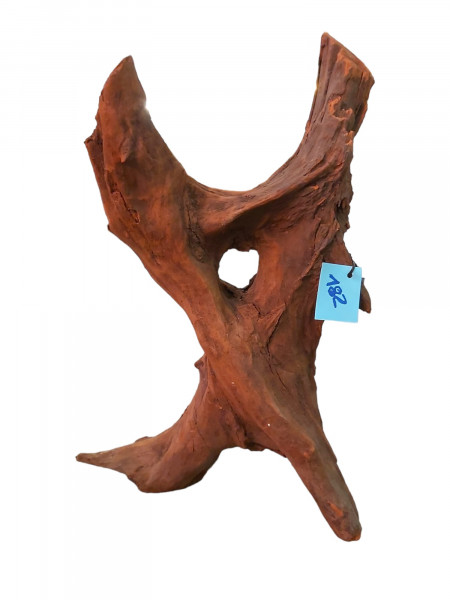 schwere und schön geformte Mangrovenwurzel Aquariumwurzel für dein Traum Aquarium in onlineshop rund um die Uhr bestellen