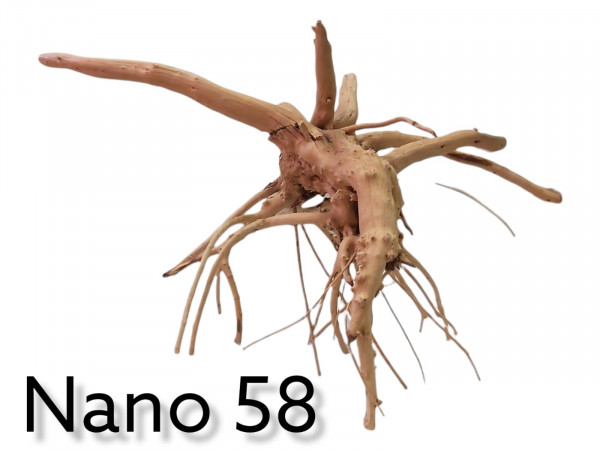 Nano Fingerwurzel Nr. 58 knorriges Wurzelholz Wurzel für das Aquarium, Moorwurzel, natürliche Höhle für das Aquarium