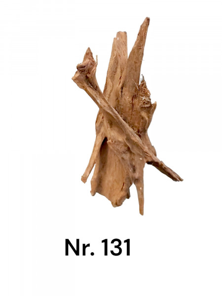 Mangrovenwurzel nr.131 als natürliche Wurzel und Huminlieferant im Aquarium, natürliche Versteckmöglichkeiten, bestellbar jederzeit online