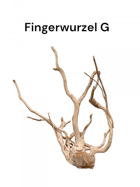 Fingerwurzel G als naturnahe Dekoration im Terrarium oder Aquarium online bestellen