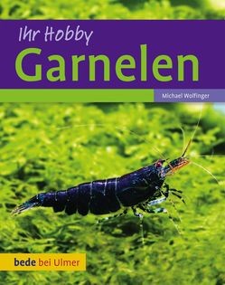 Garnelen -Ihr Hobby, das Buch für Einsteiger damit der start mit Zwerggarnelen gut gelinkt. Neocaridina