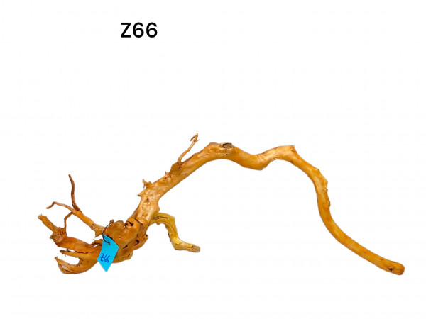 Fingerwurzel Z66 große einzigartige Aquariumwurzel, individuell aussuchen und gestalten, Flusswurzel, Moorwurzel, Wurzelholz für das Aquarium