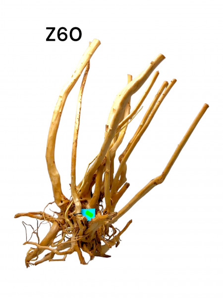 Fingerwurzel Z60 Dekoration für das Aquarium, günstig online bestellen, Onlineshop, Wurzelholz als natürliches Versteck