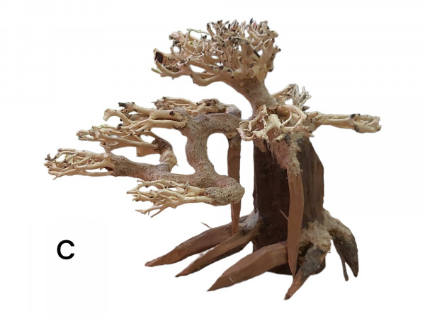 Unikat Wurzel, einmaliger Bonai in 24cm x 16cm x 20cm als Unikat für dein Aquascaping, Wurzelholz, Unterwasserbaum