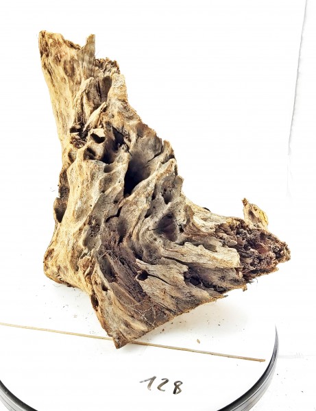 Aquariumrückwand Monster Mangrovenwurzel Dekowurzel Wood fürs Aquarium Mangrovenholz Wurzeln zu günstigen Preisen mit Auswahl