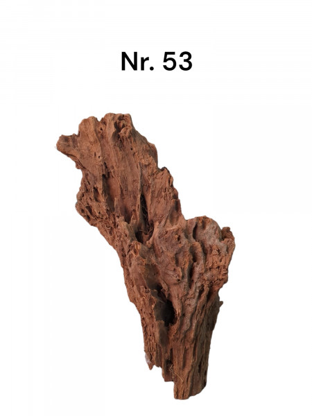 Floristikwurzel, Mangrovenwurzel für Aquarium und terrarium, Nanowurzel, Nanoaquarium, Kleine Aquarien Wurzel Mangrove Holz Mangrovenwurzel