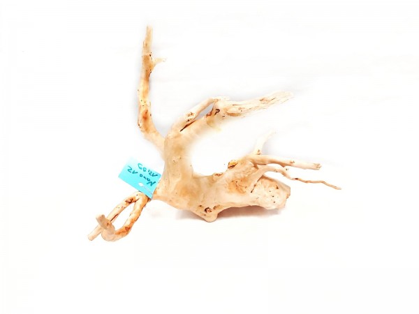 Fingerwurzel und Spiderwood Wurzeln für dein Aquarium kaufen Spiderwood online kaufen