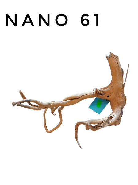 Nano Fingerwurzel Nr. 61
